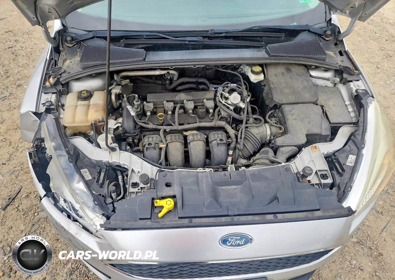 2018 Ford Focus Se VIN:1FADP3F26JL324101 - 11