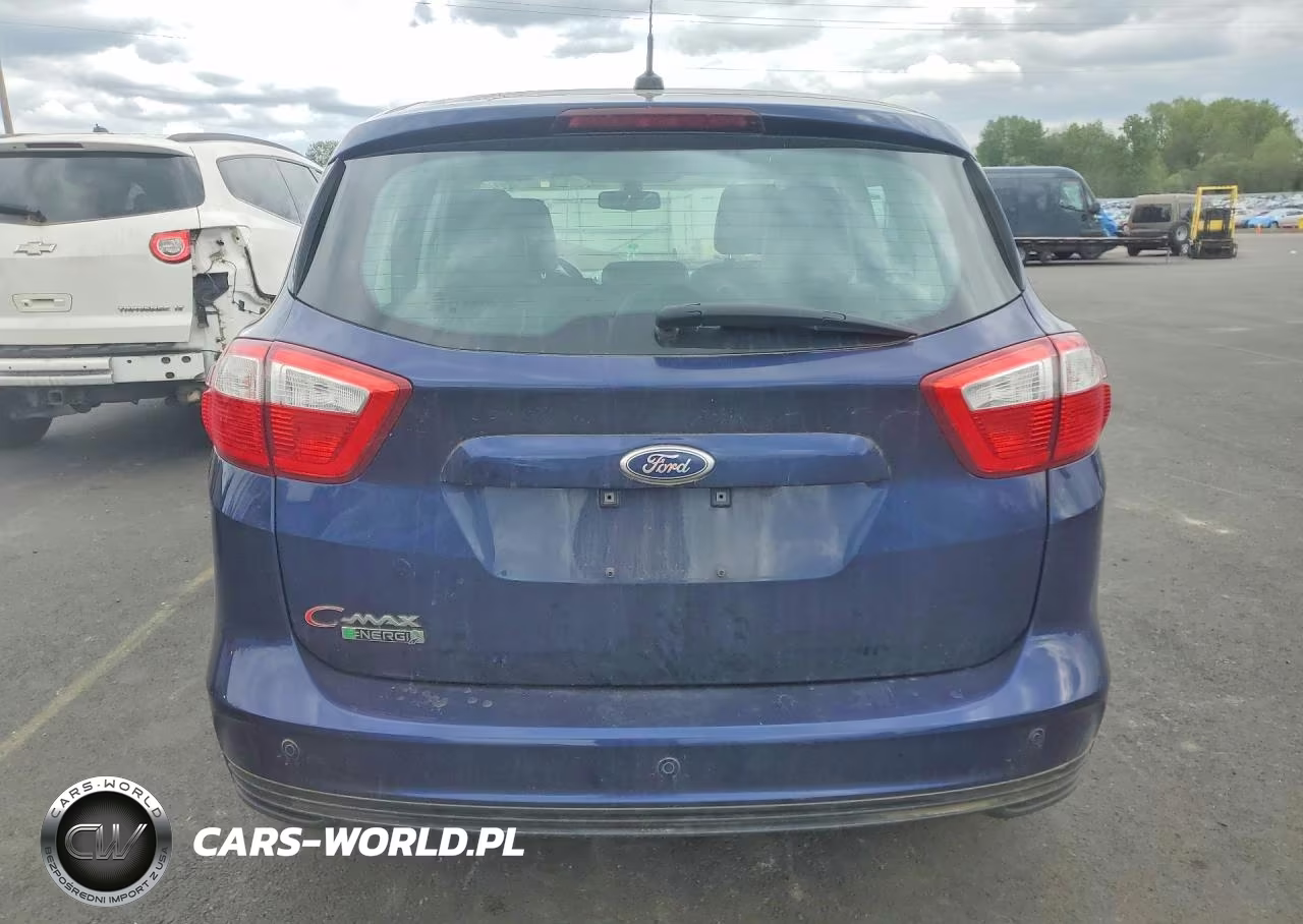 2016 Ford C-Max Premium Sel VIN:1FADP5CU6GL102894 - 6