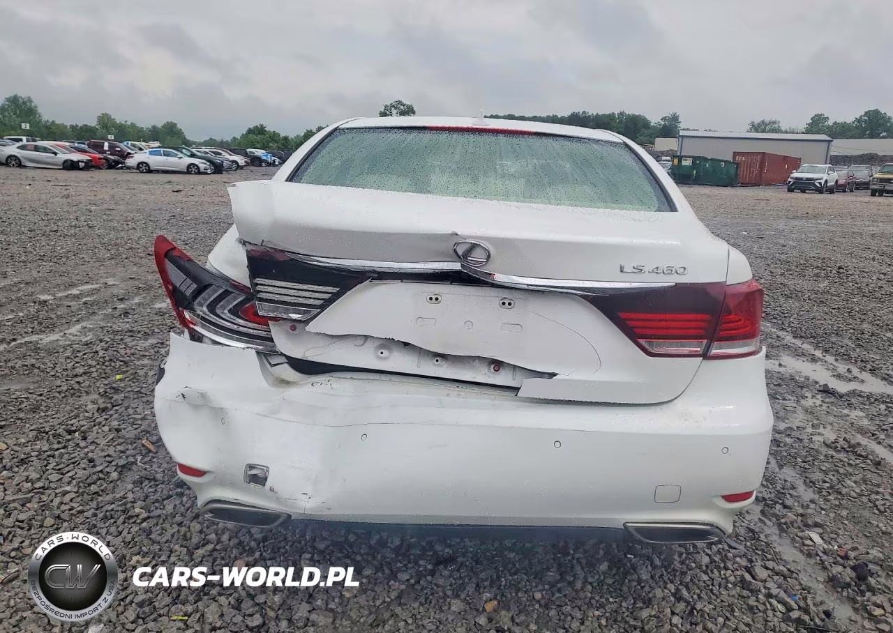2013 Lexus Ls 460 VIN:JTHBL5EF7D5116281 - 6