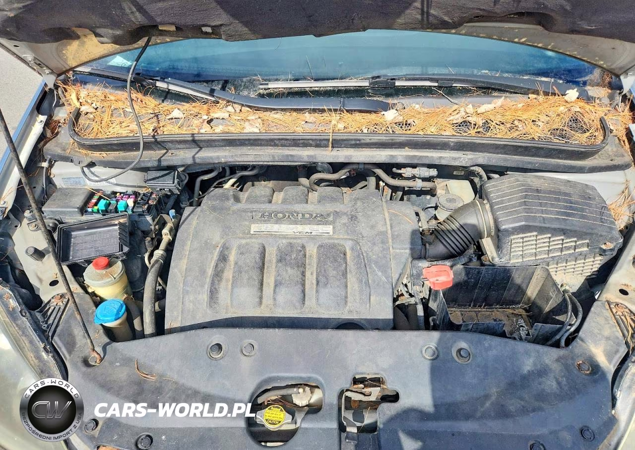 2006 Honda Odyssey Exl VIN:5FNRL38646B121858 - 12
