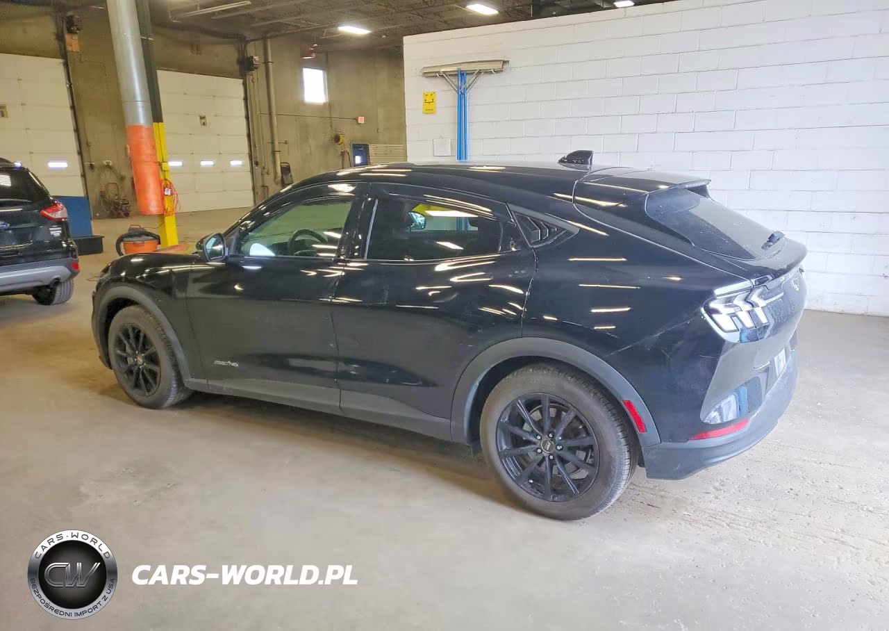 2021 Ford Mustang Mach-E Select VIN:3FMTK1SS2MMA66432 - 2