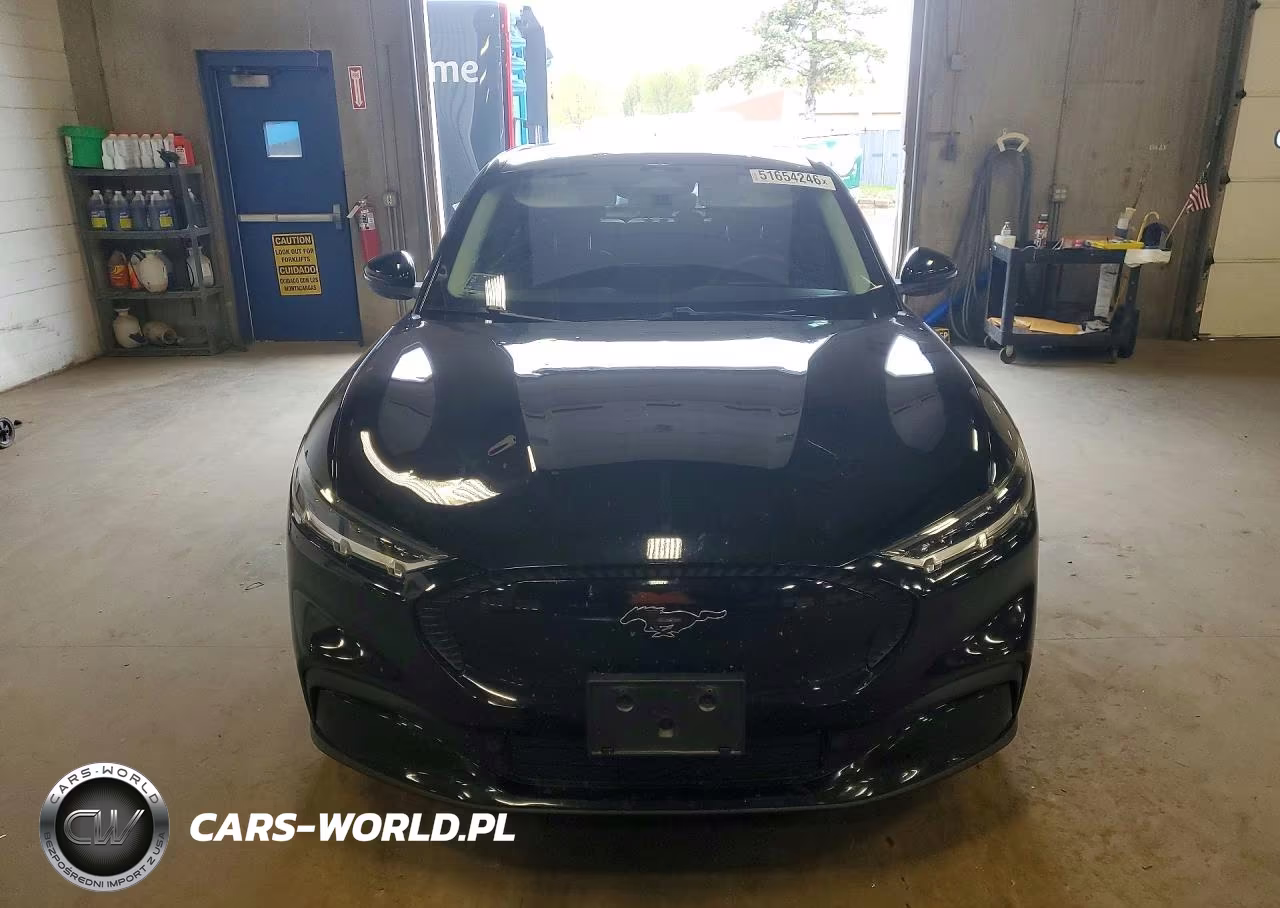 2021 Ford Mustang Mach-E Select VIN:3FMTK1SS2MMA66432 - 5