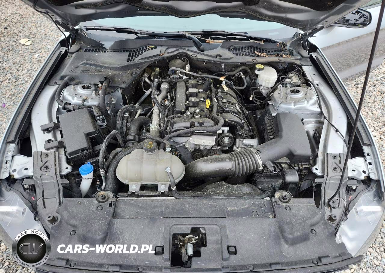 2023 Ford Mustang VIN:1FA6P8TH5P5105092 - 11