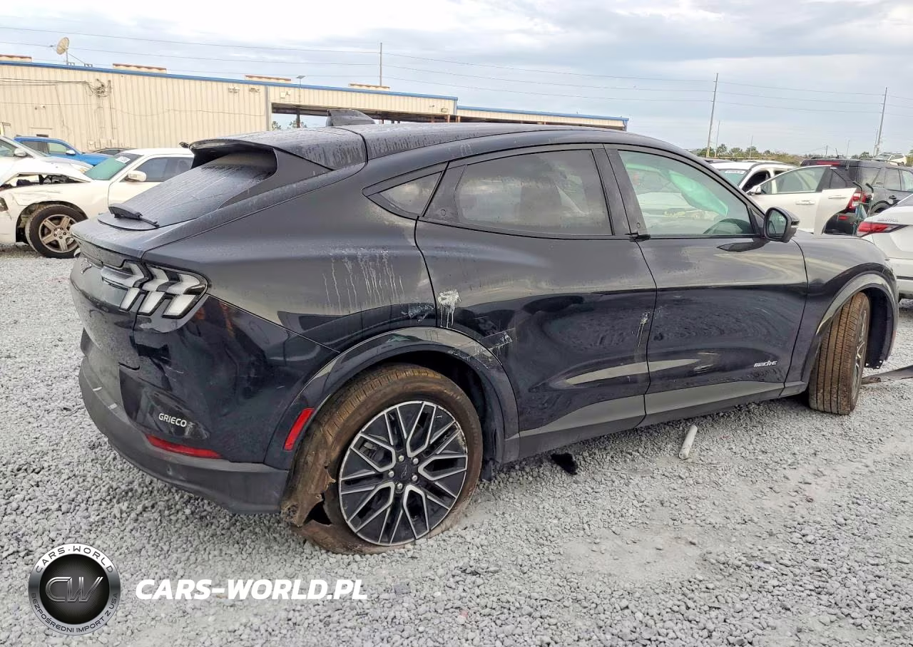 2025 Ford Mustang Mach-E Premium VIN:3FMTK3R43SMA50322 - 3