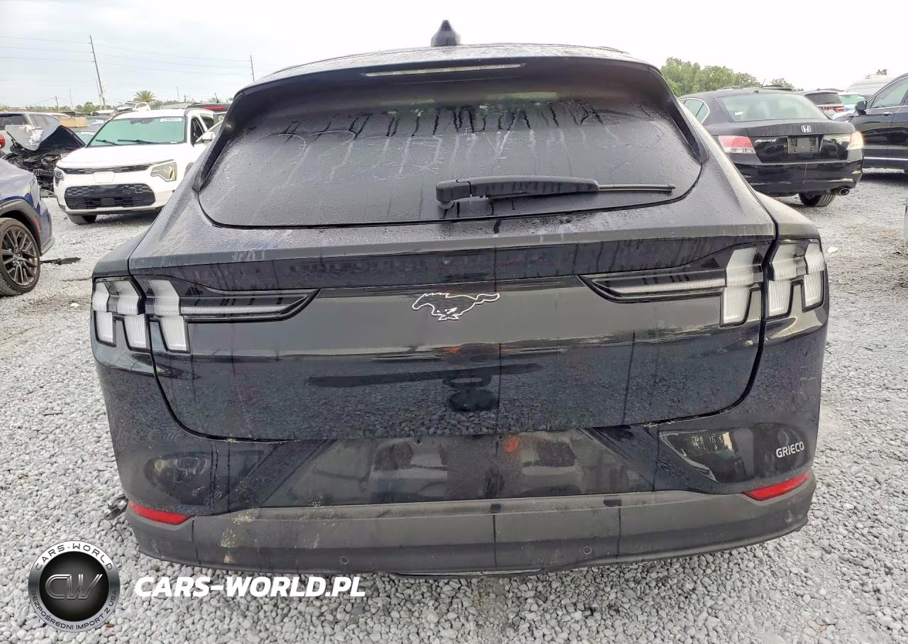 2025 Ford Mustang Mach-E Premium VIN:3FMTK3R43SMA50322 - 6