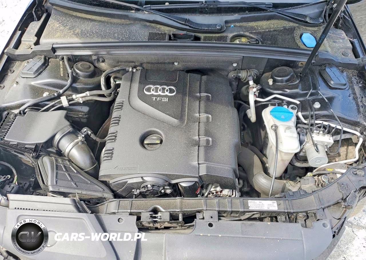2016 Audi A4 Premium Plus S-Line VIN:WAUFFAFL0GN015849 - 11