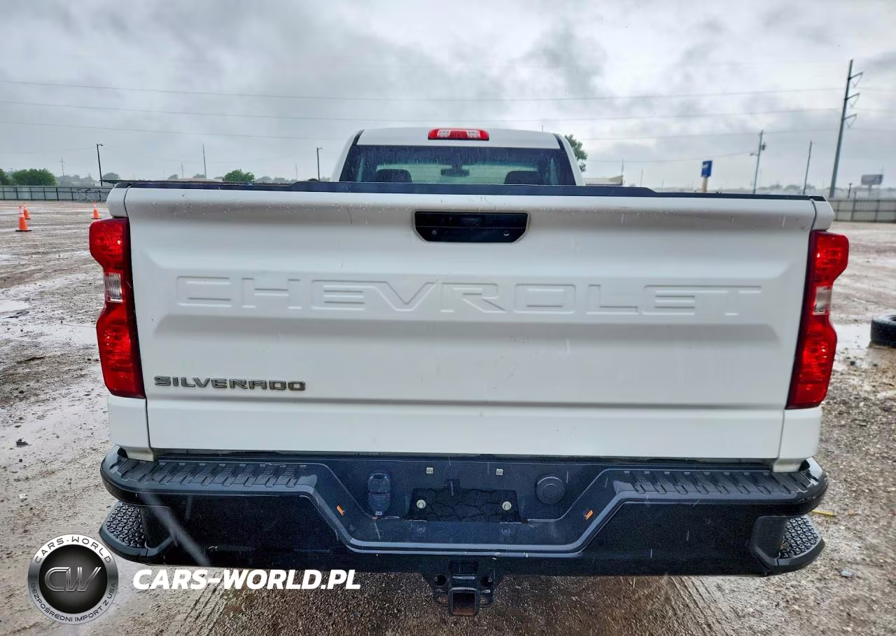 2020 Chevrolet Silverado C1500 VIN:3GCNWAEF6LG140061 - 6