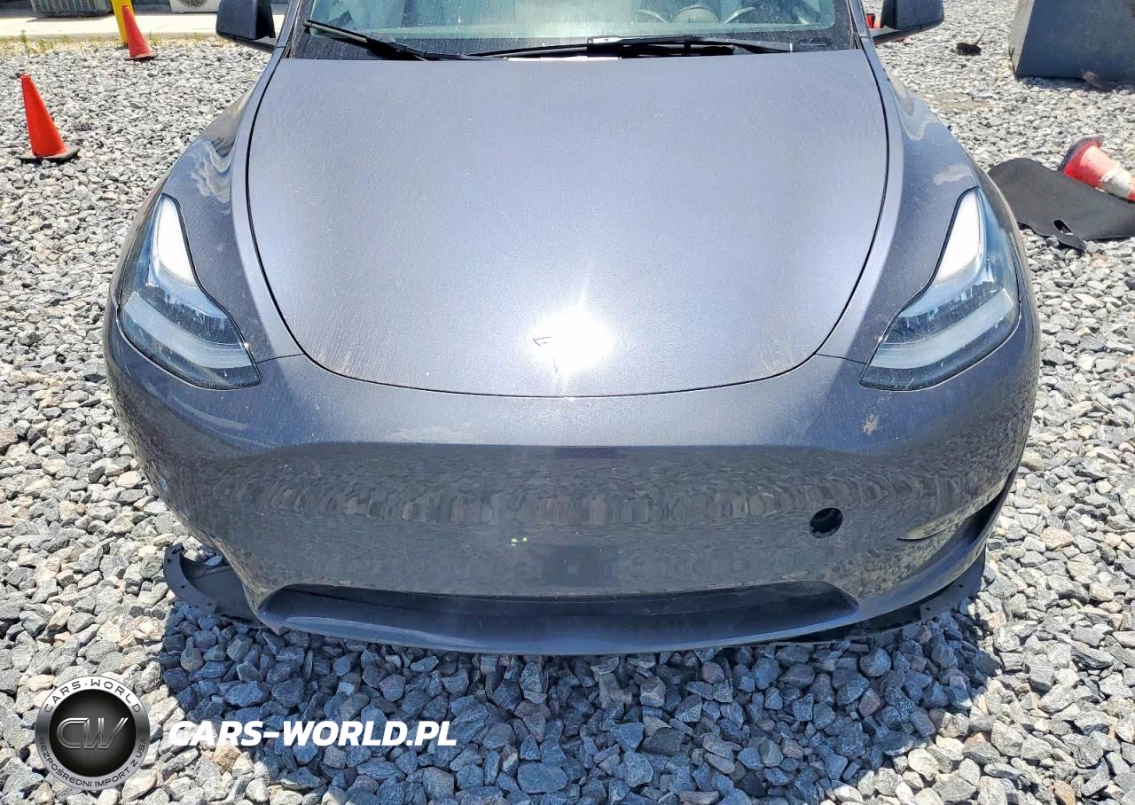 2023 Tesla Model Y VIN:7SAYGDEEXPF619620 - 11