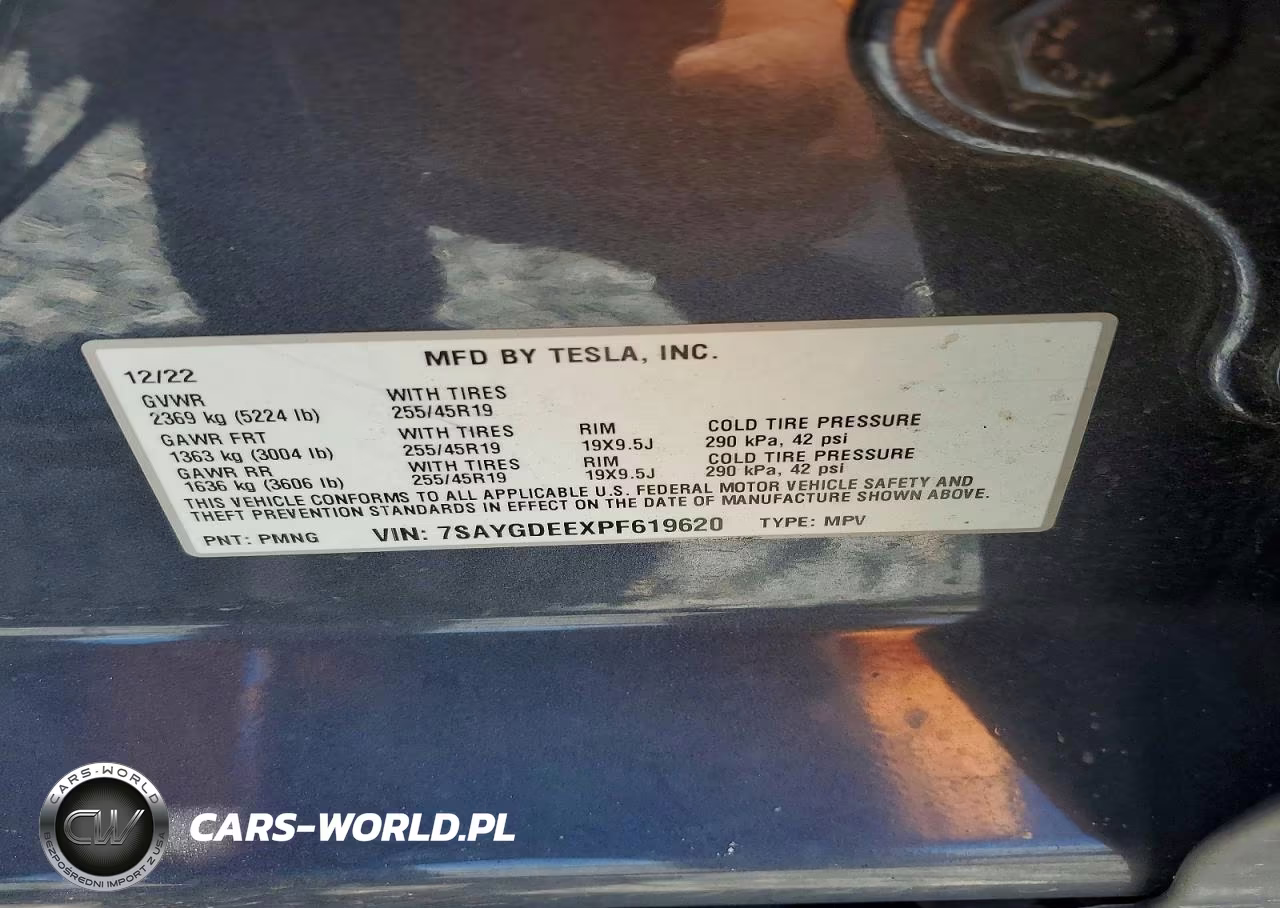 2023 Tesla Model Y VIN:7SAYGDEEXPF619620 - 12