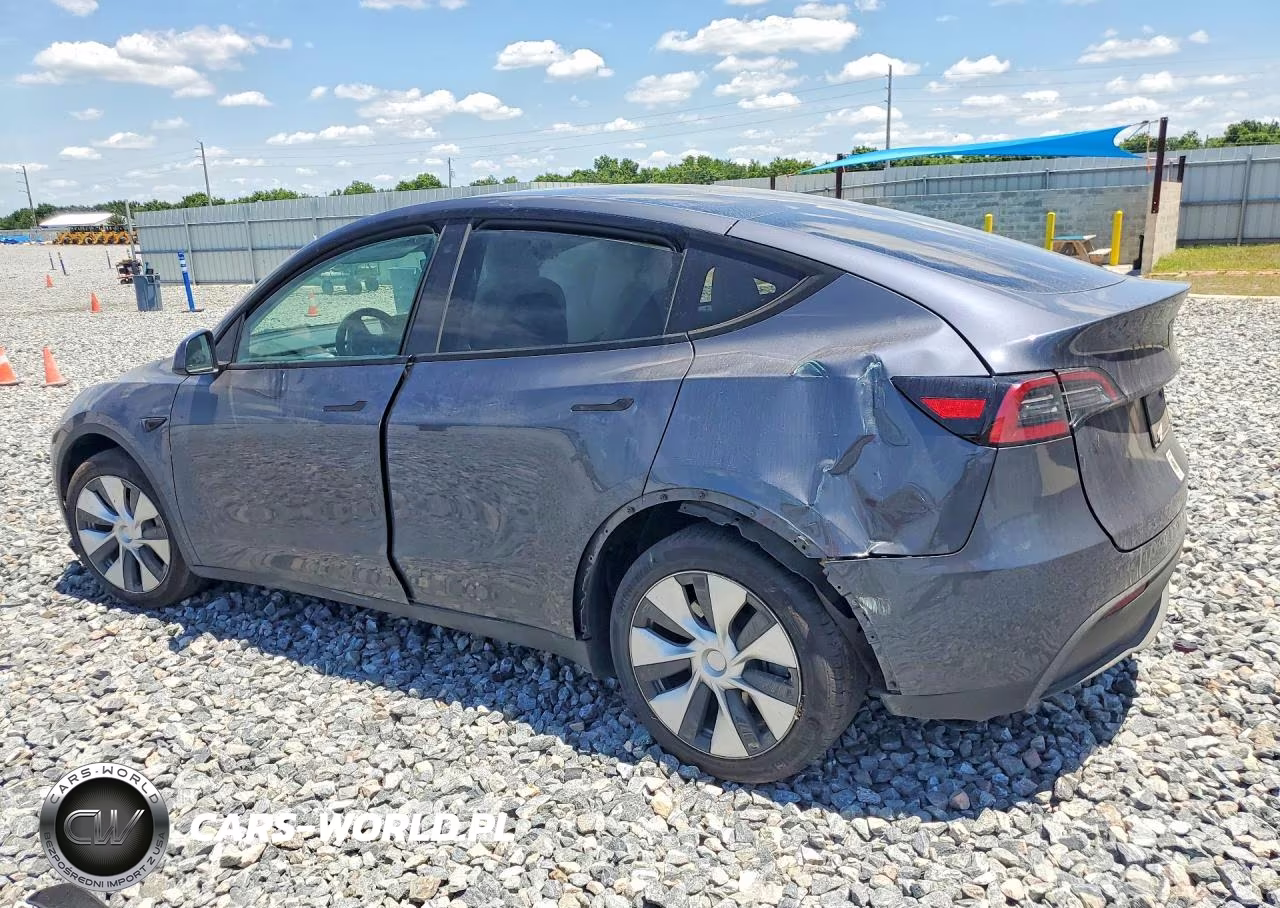 2023 Tesla Model Y VIN:7SAYGDEEXPF619620 - 2