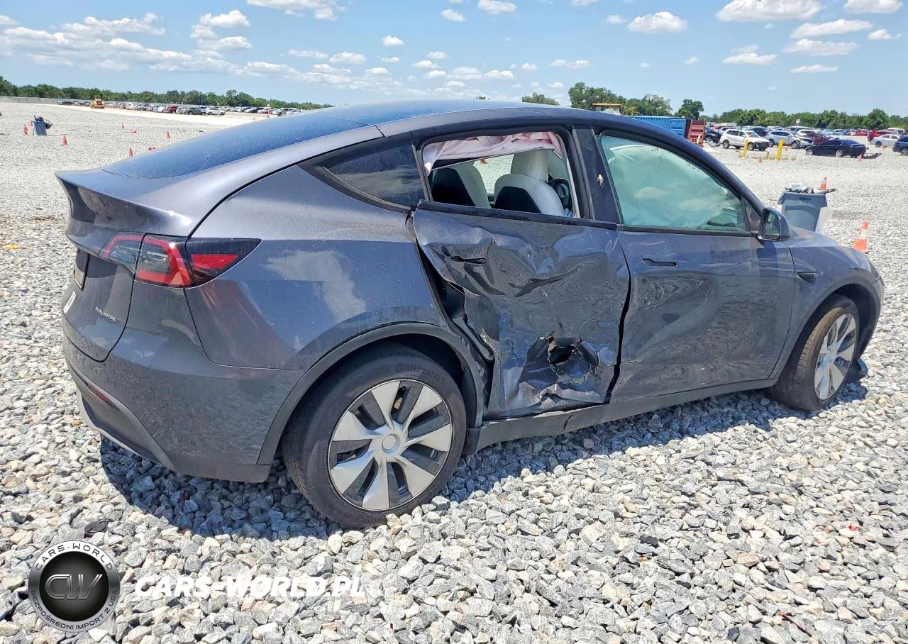 2023 Tesla Model Y VIN:7SAYGDEEXPF619620 - 3