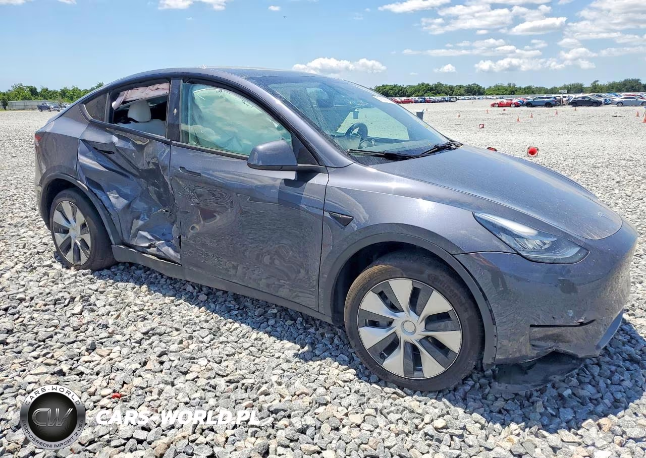 2023 Tesla Model Y VIN:7SAYGDEEXPF619620 - 4