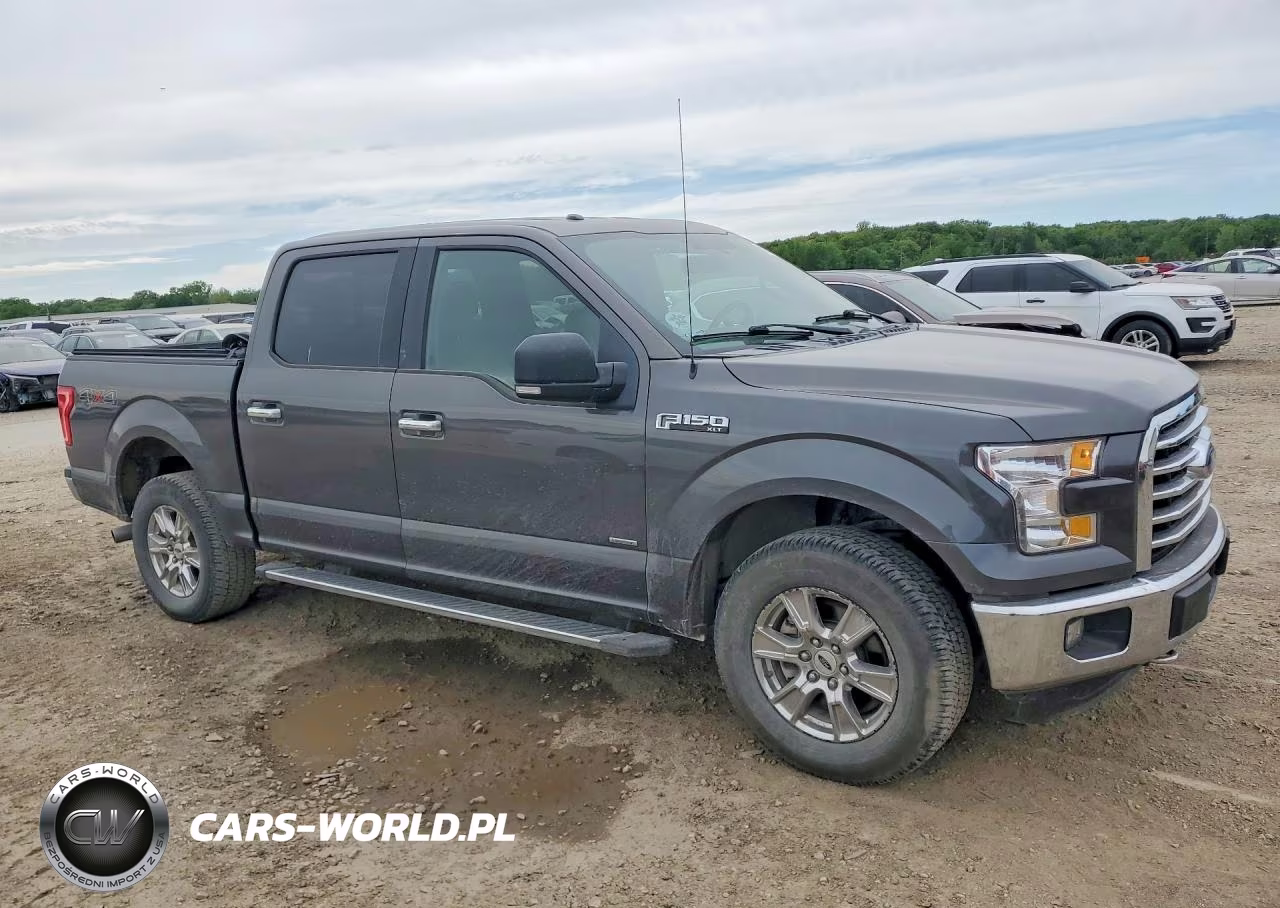 2015 Ford F150 Supercrew VIN:1FTEW1EG4FKE73705 - 4