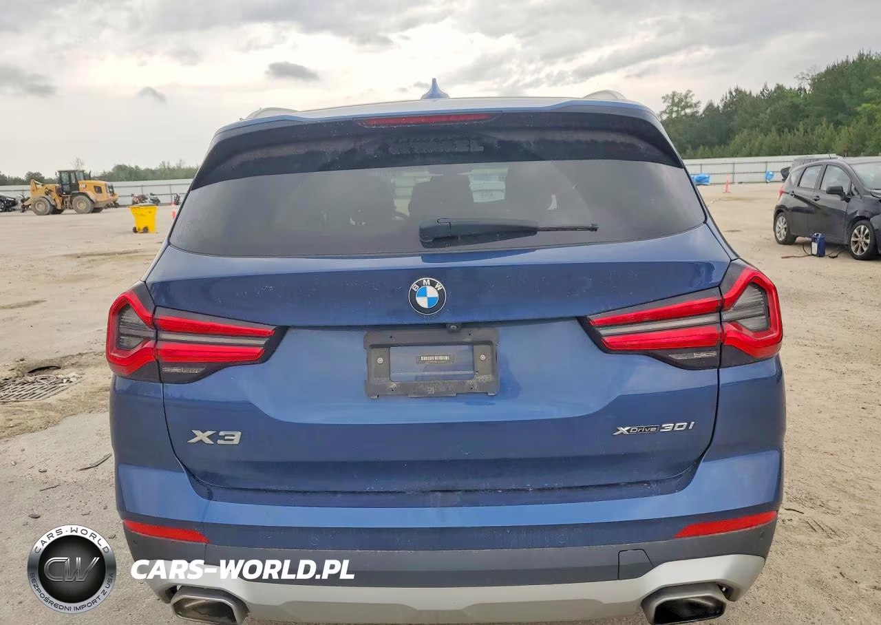 2022 BMW X3 xDrive30I VIN:5UX53DP08N9K66815 - 6
