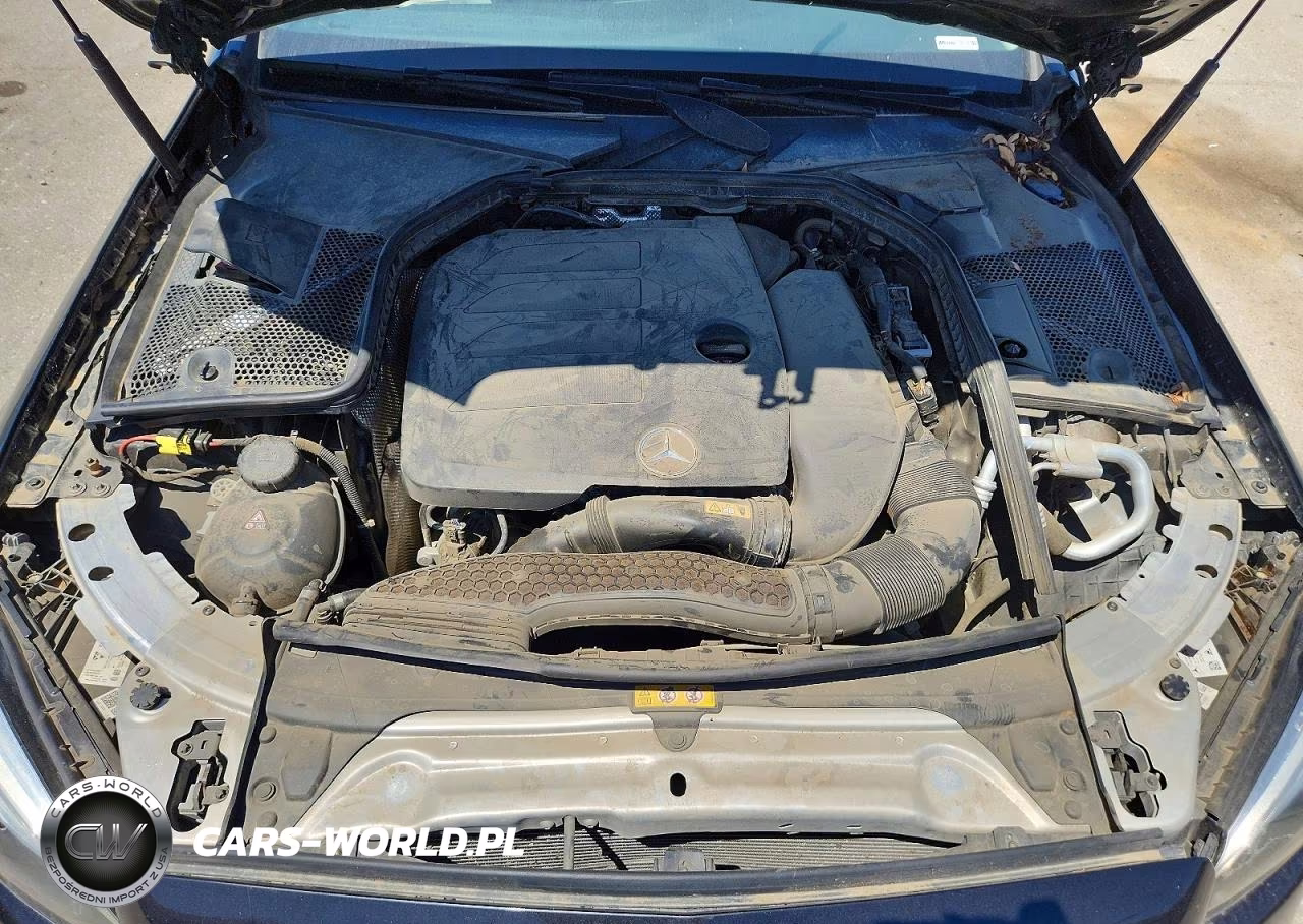 2020 Mercedes-Benz C 300 4Matic VIN:W1KWF8EB7LR598725 - 11