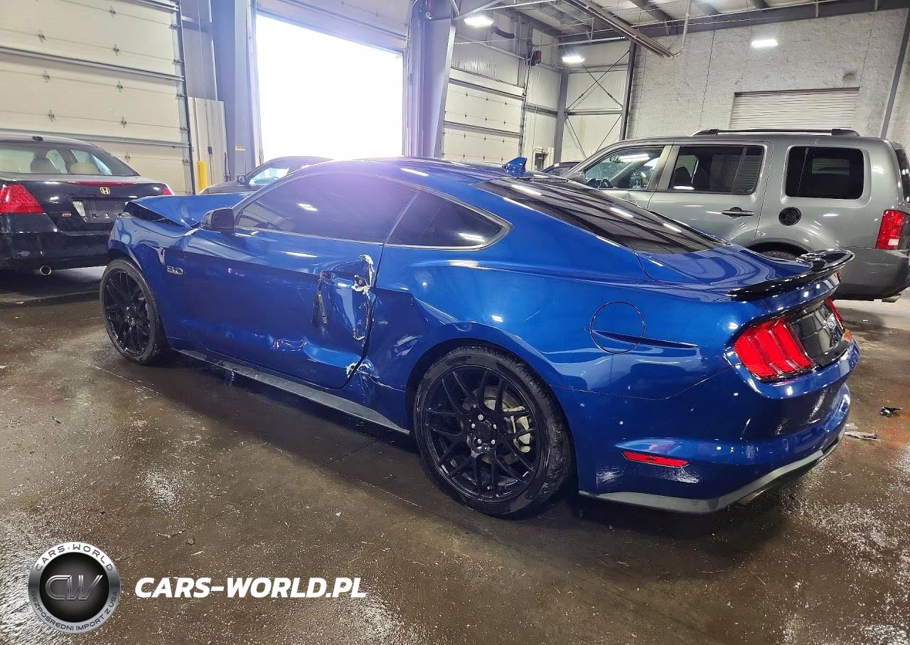 2023 Ford Mustang Gt VIN:1FA6P8CF7P5303929 - 2