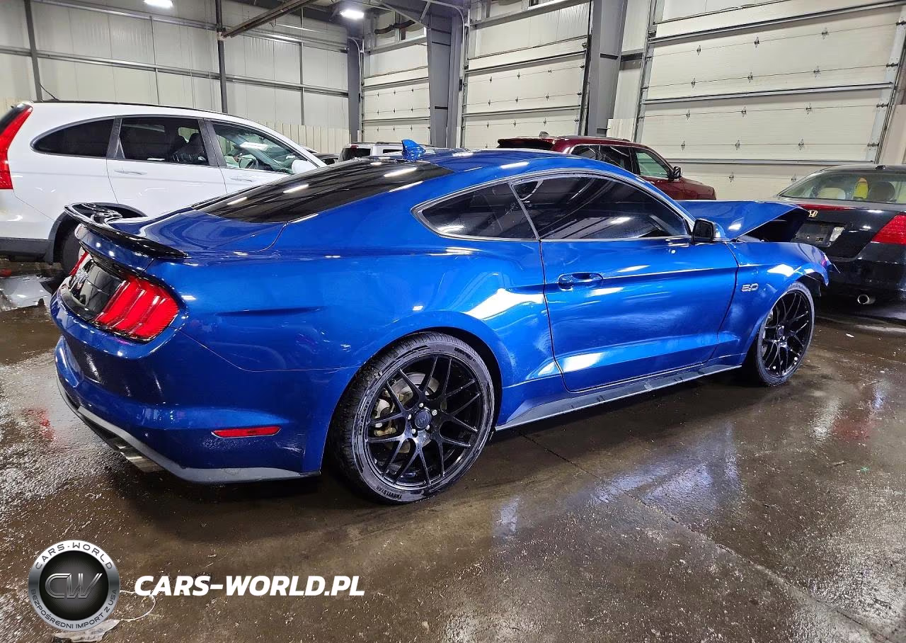 2023 Ford Mustang Gt VIN:1FA6P8CF7P5303929 - 3
