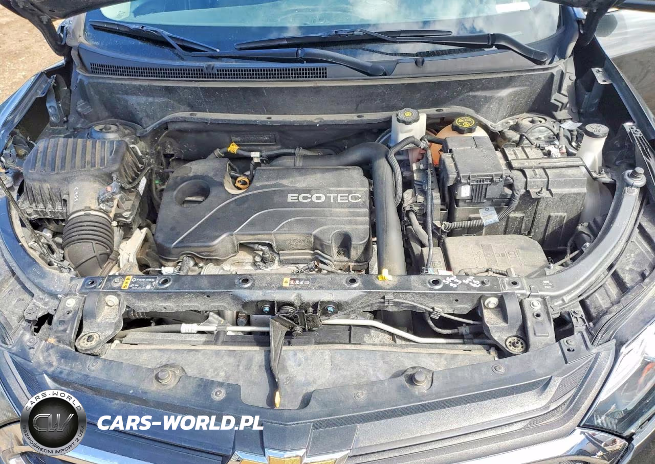 2019 Chevrolet Equinox Lt VIN:3GNAXTEV2KL333576 - 12