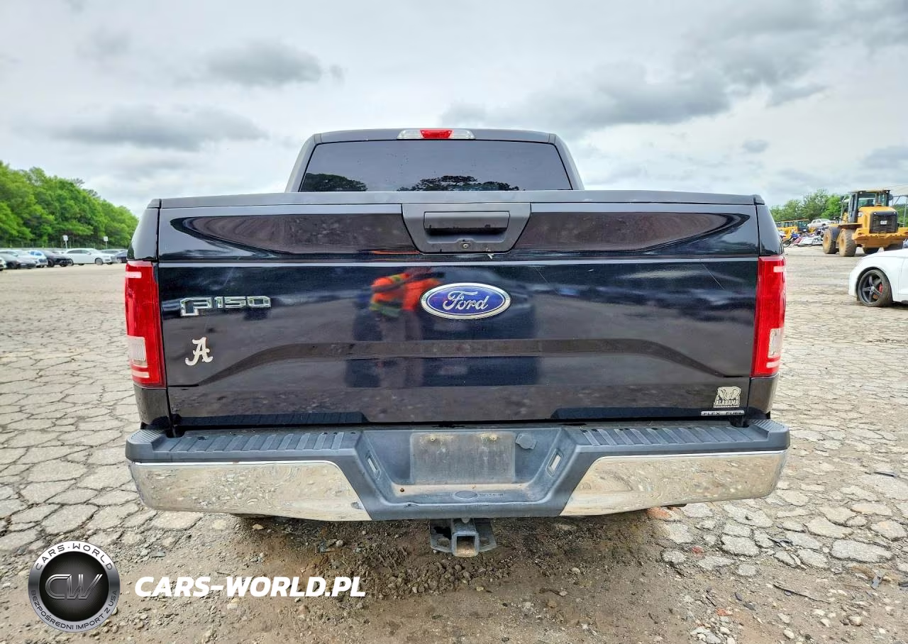 2017 Ford F150 Supercrew VIN:1FTEW1CF2HFA35528 - 6