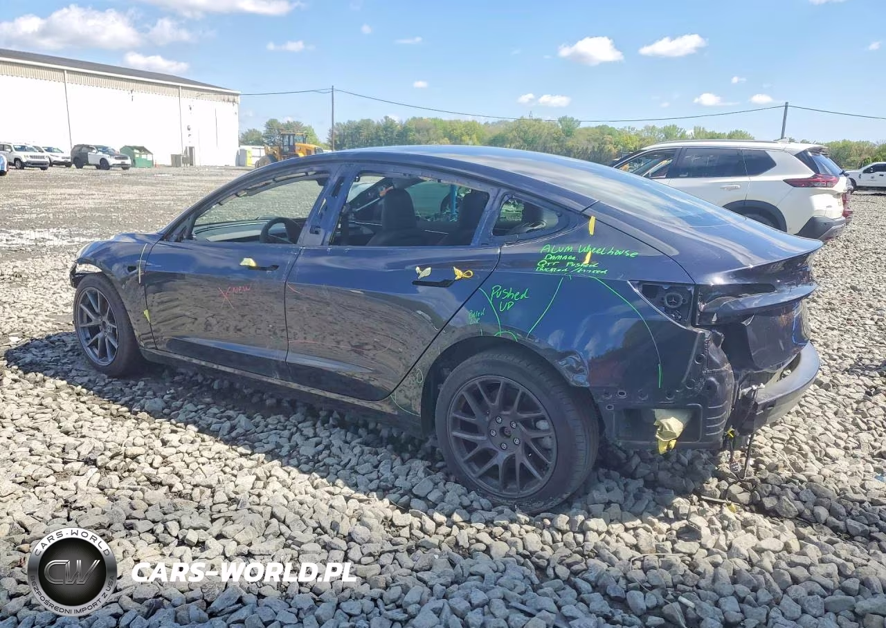 2024 Tesla Model 3 VIN:5YJ3E1EB3RF801146 - 2
