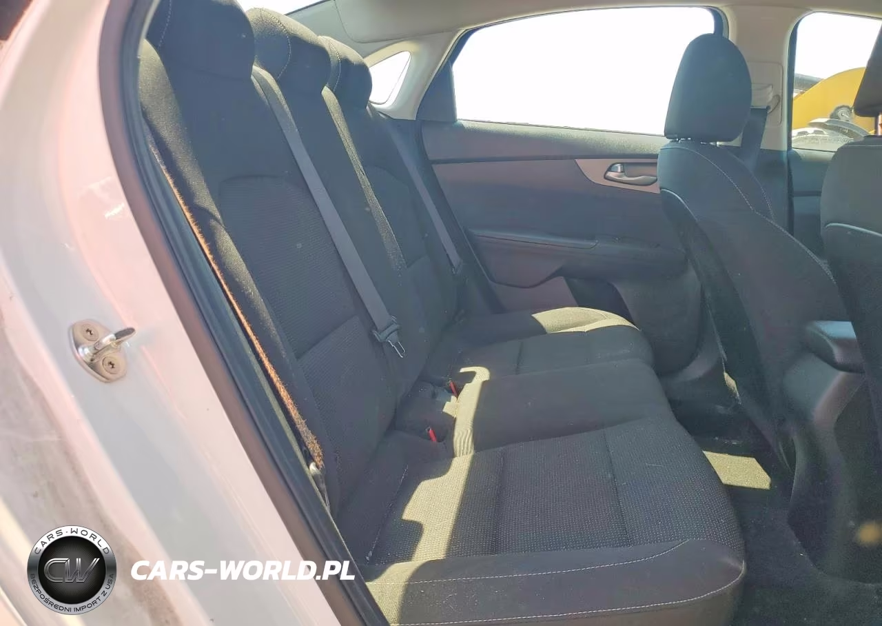 2020 Kia Forte Fe VIN:3KPF24AD9LE192818 - 10