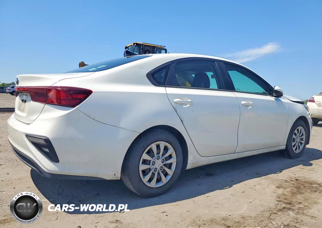 2020 Kia Forte Fe VIN:3KPF24AD9LE192818 - 3