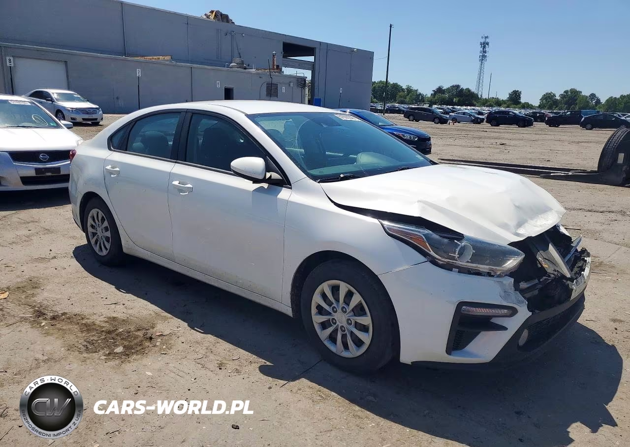 2020 Kia Forte Fe VIN:3KPF24AD9LE192818 - 4