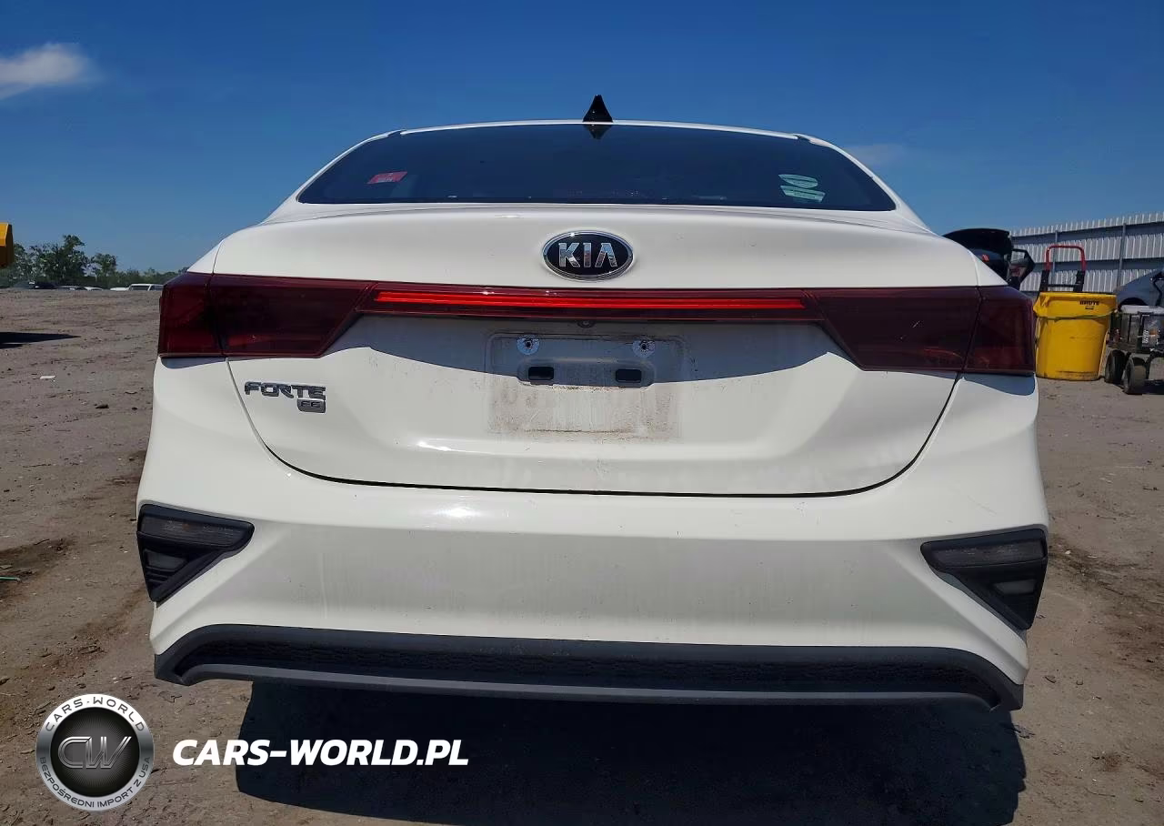 2020 Kia Forte Fe VIN:3KPF24AD9LE192818 - 6