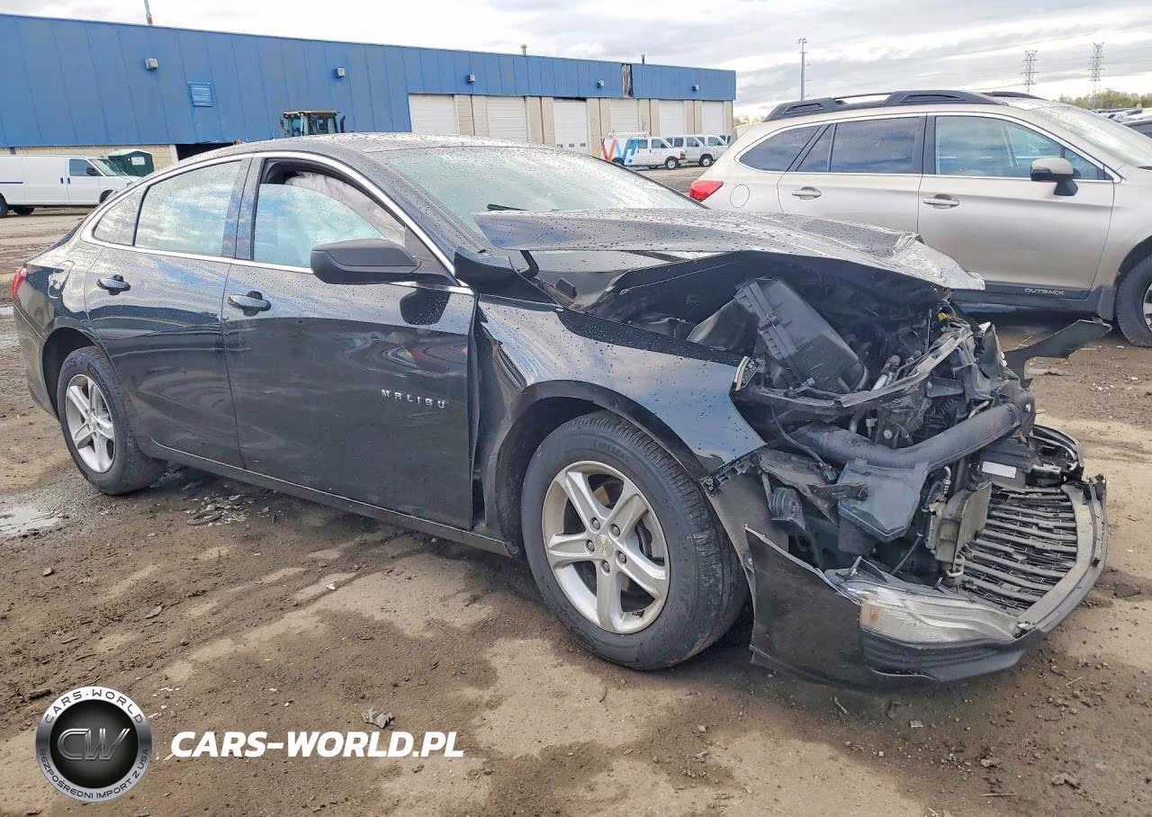 2020 Chevrolet Malibu Ls VIN:1G1ZC5ST6LF079848 - 4