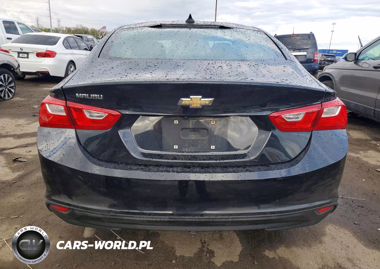 2020 Chevrolet Malibu Ls VIN:1G1ZC5ST6LF079848 - 6