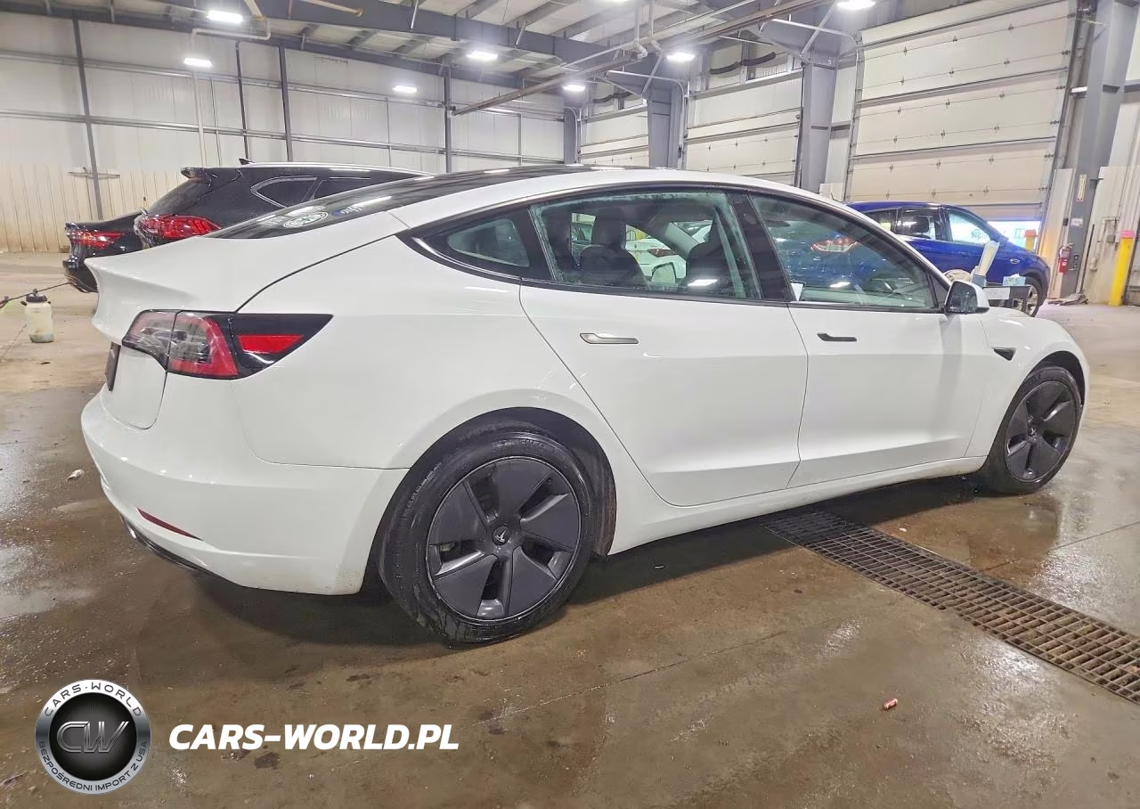 2023 Tesla Model 3 VIN:5YJ3E1EAXPF437215 - 3
