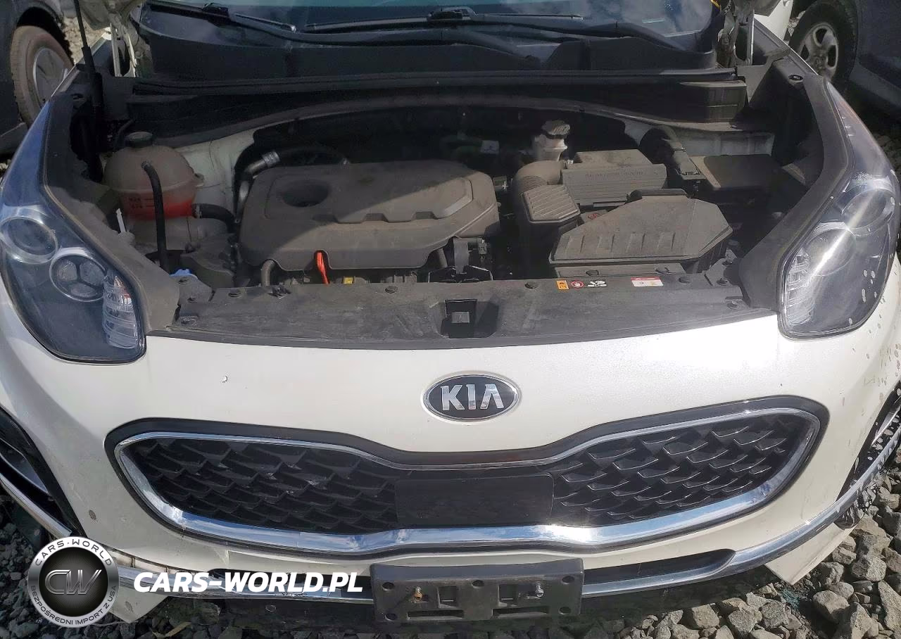 2021 Kia Sportage Ex VIN:KNDPNCAC9M7937291 - 12