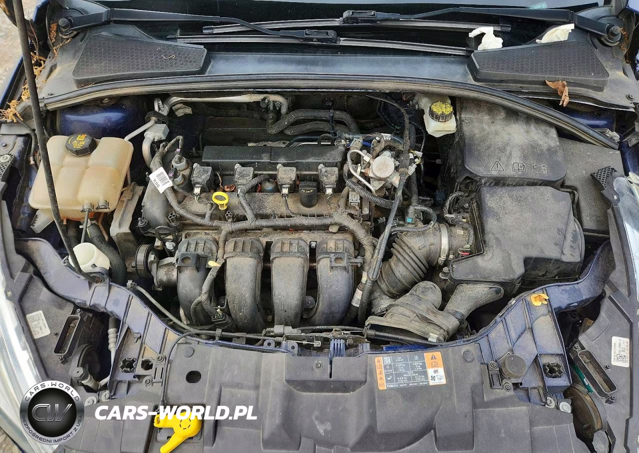 2017 Ford Focus Titanium VIN:1FADP3N22HL288029 - 12