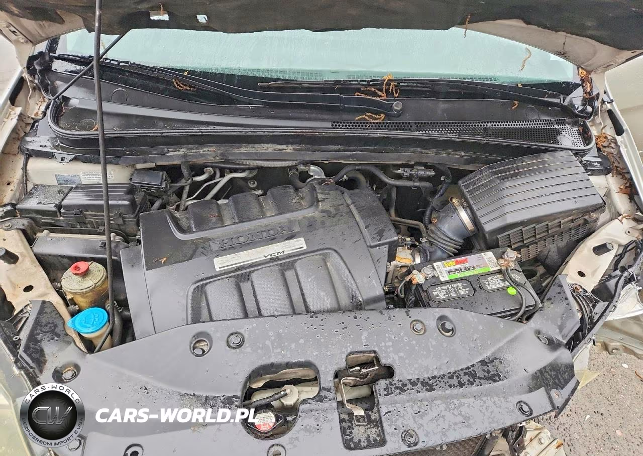 2006 Honda Odyssey Exl VIN:5FNRL38666B446527 - 12