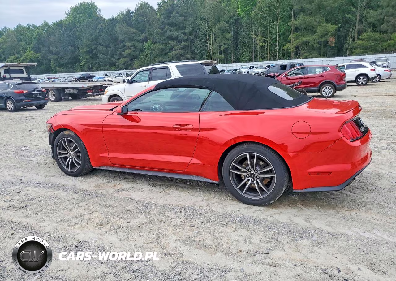 2017 Ford Mustang VIN:1FATP8UH0H5334427 - 2