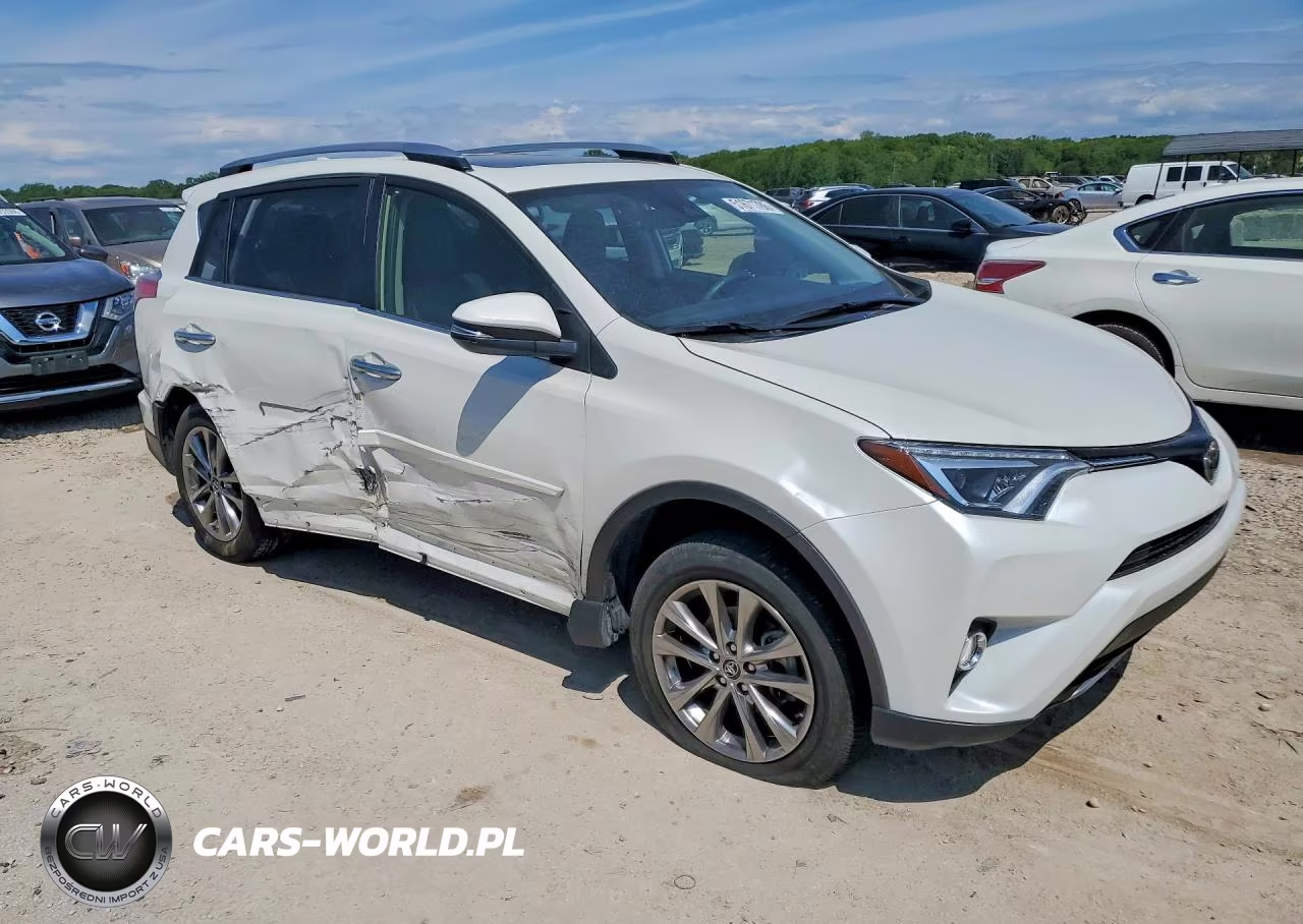 2018 Toyota Rav4 Limited VIN:JTMDFREV2JD245210 - 4