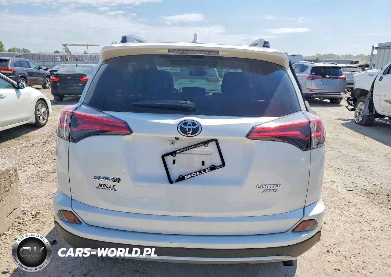 2018 Toyota Rav4 Limited VIN:JTMDFREV2JD245210 - 6