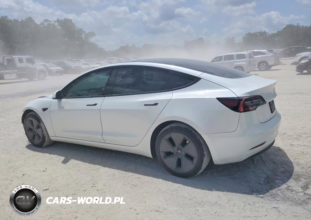 2023 Tesla Model 3 VIN:5YJ3E1EA0PF396609 - 2