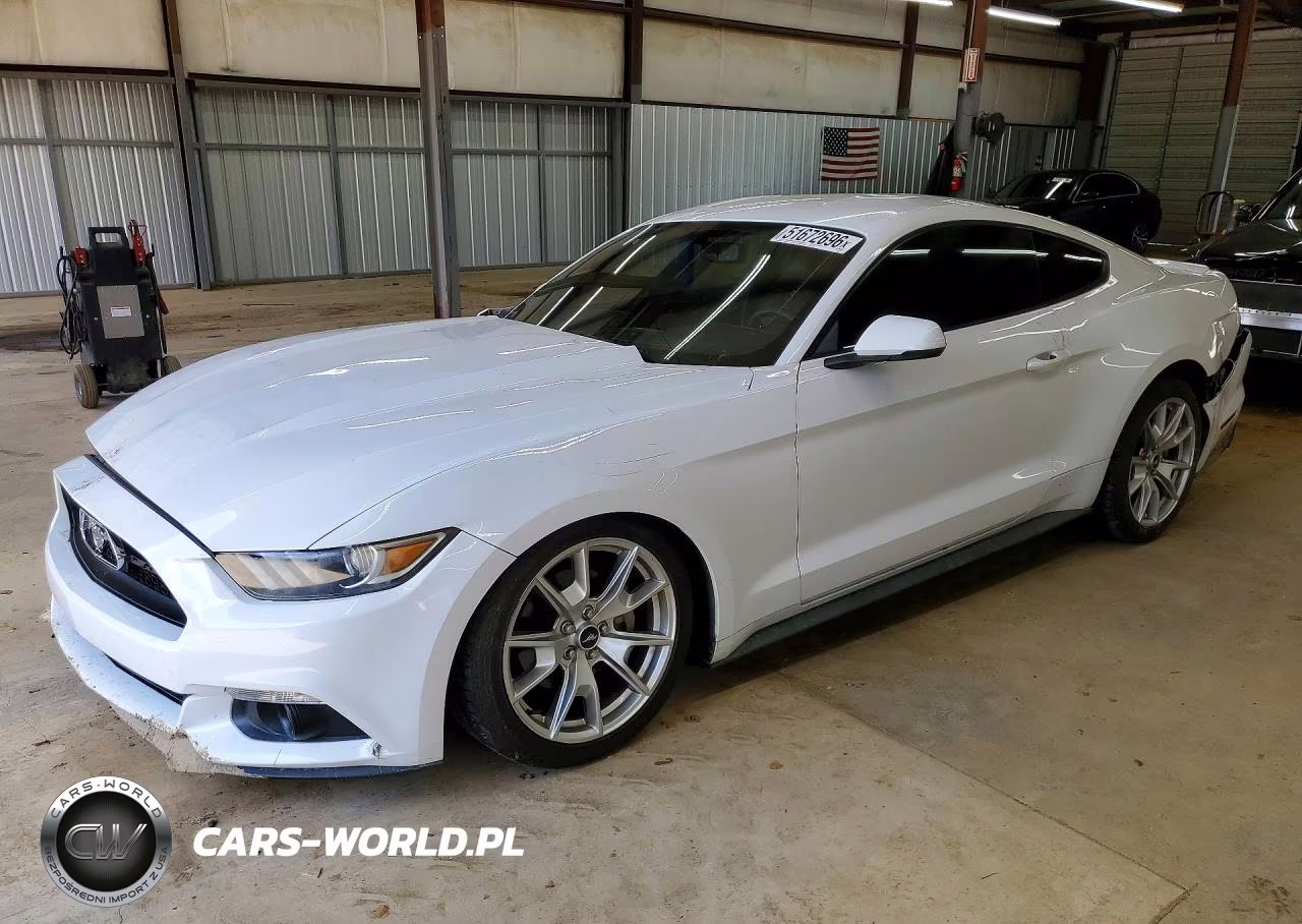 2015 Ford Mustang 50Th Anniversary