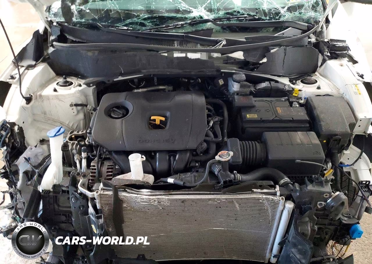 2024 Kia Seltos Ex VIN:KNDERCAA6R7613166 - 12