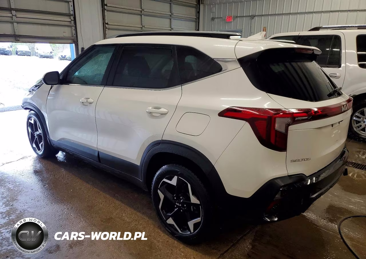 2024 Kia Seltos Ex VIN:KNDERCAA6R7613166 - 2