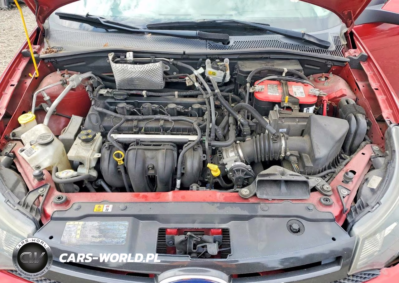2009 Ford Focus Ses VIN:1FAHP33N19W198689 - 11