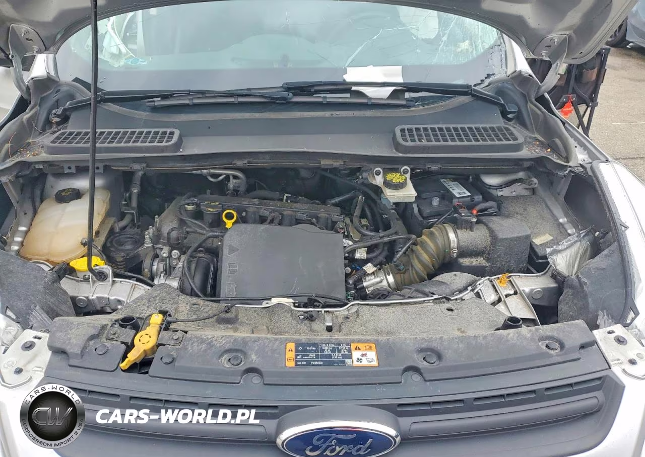 2016 Ford Escape S VIN:1FMCU0F76GUA28745 - 12