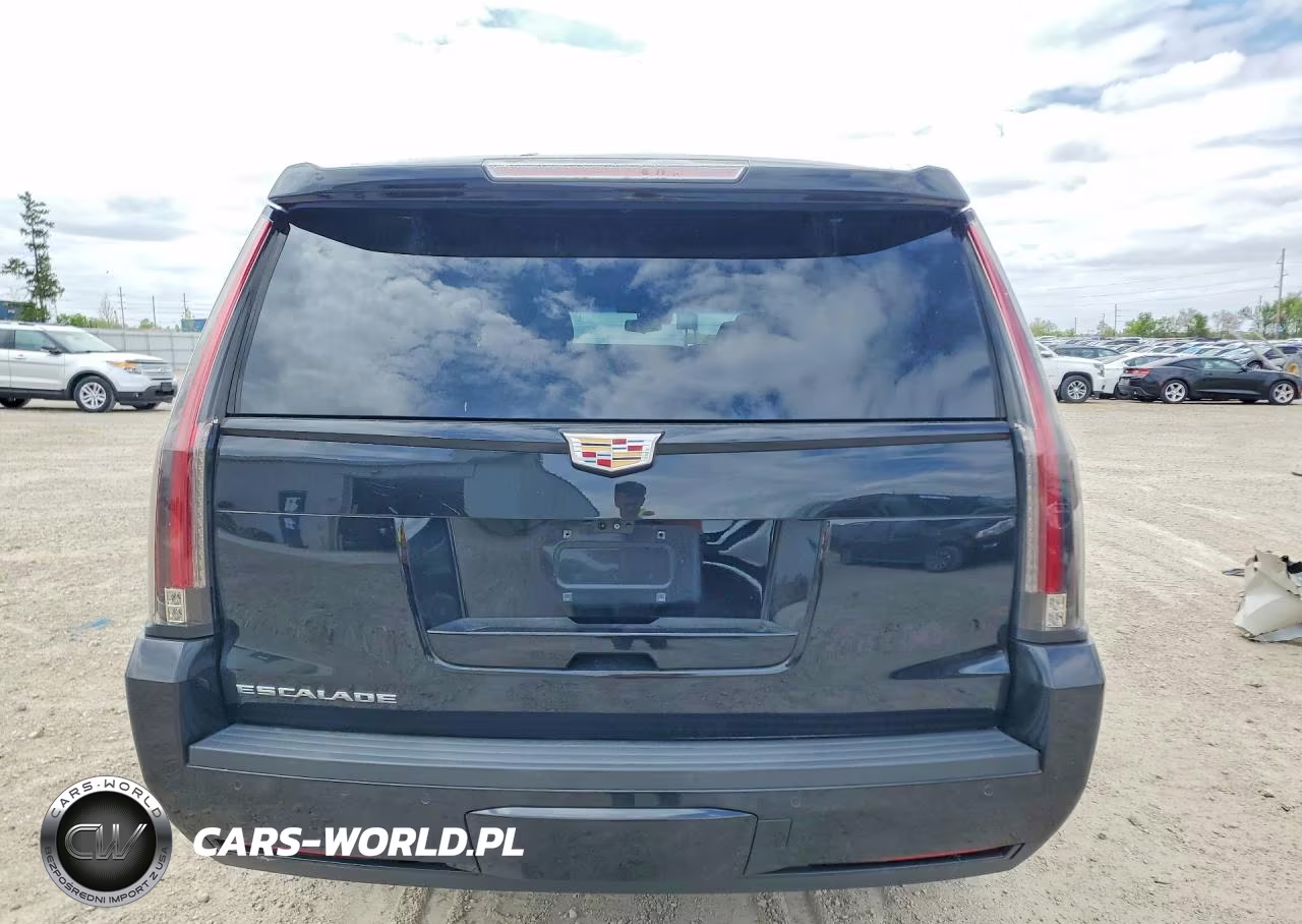 2019 Cadillac Escalade Esv Premium Luxury VIN:1GYS4JKJXKR340208 - 6