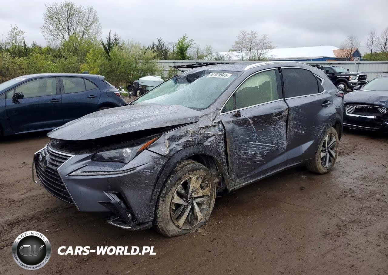 2019 Lexus Nx 300 Base