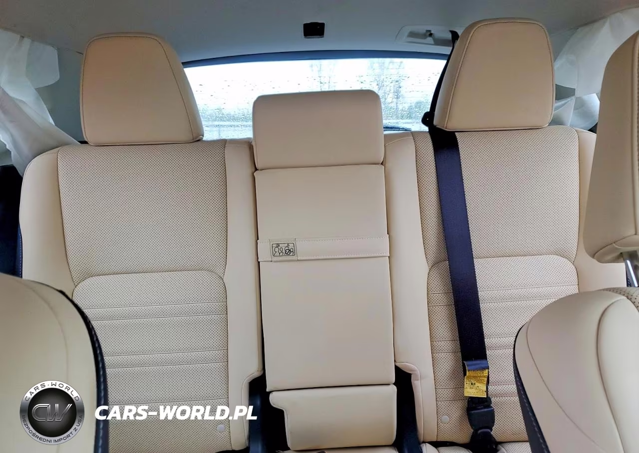 2019 Lexus Nx 300 Base VIN:JTJBARBZXK2196586 - 10