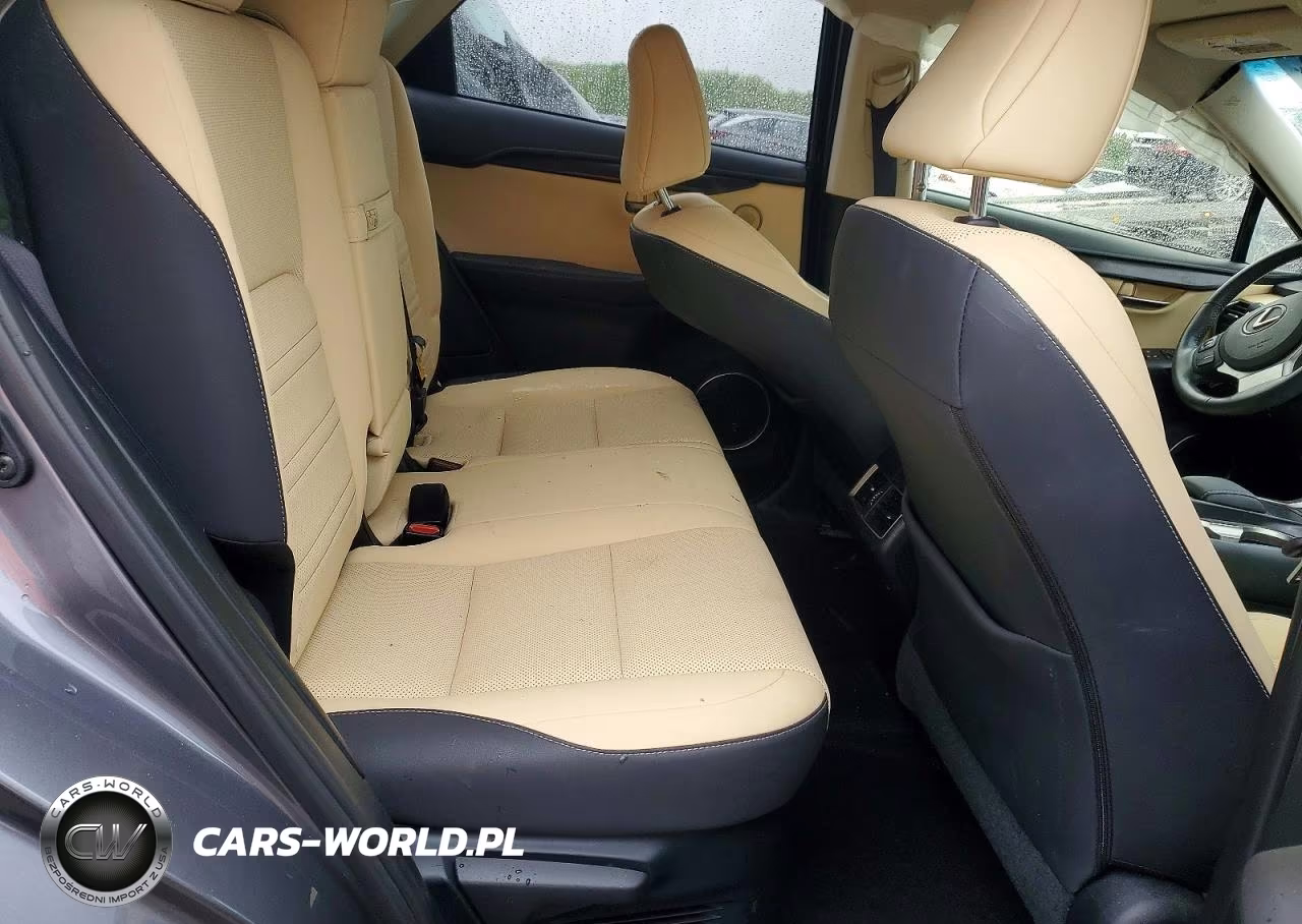 2019 Lexus Nx 300 Base VIN:JTJBARBZXK2196586 - 11