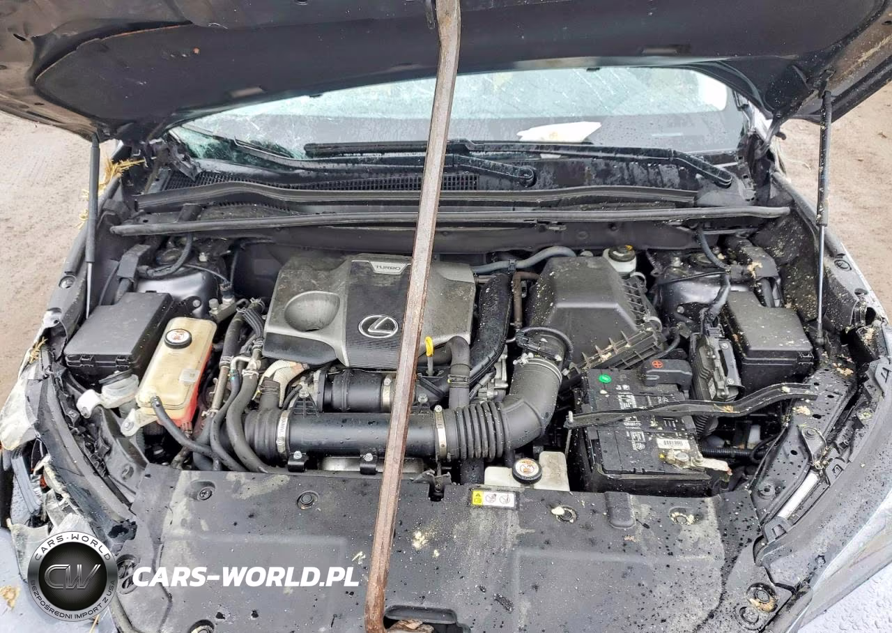 2019 Lexus Nx 300 Base VIN:JTJBARBZXK2196586 - 12