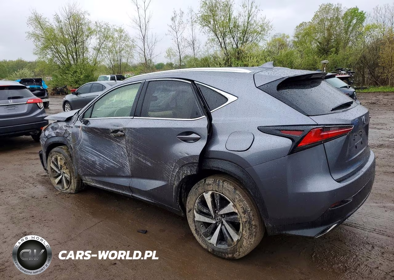 2019 Lexus Nx 300 Base VIN:JTJBARBZXK2196586 - 2