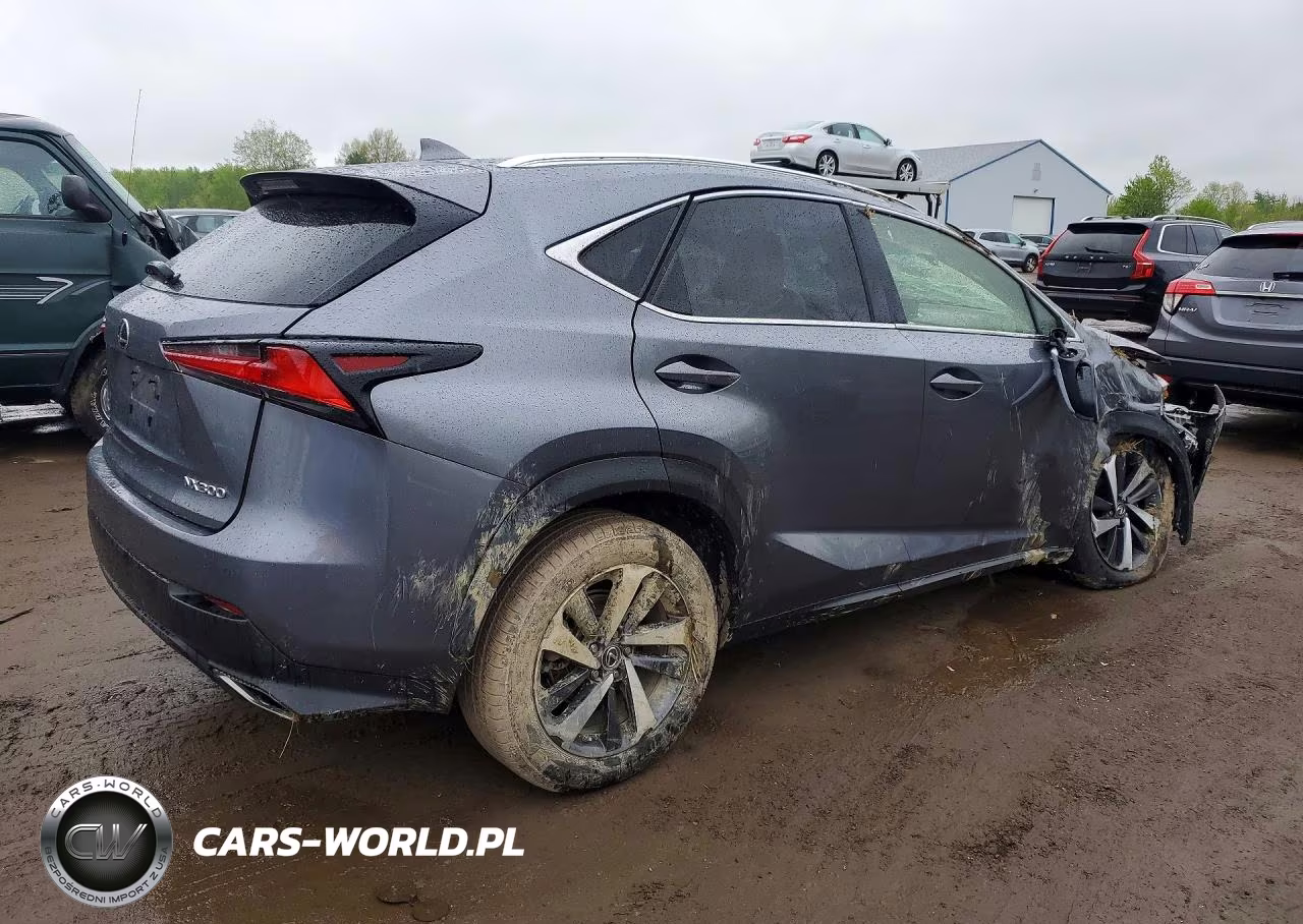 2019 Lexus Nx 300 Base VIN:JTJBARBZXK2196586 - 3